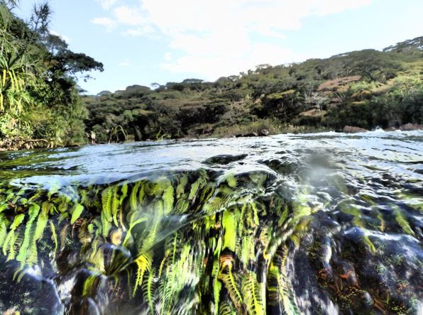 Nile Basin Environmental Flows E-flows01