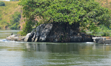 NBI Induction Course NBI04