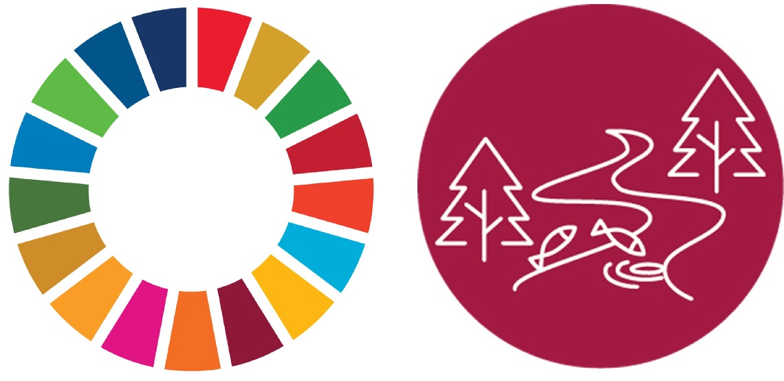 Sustainable Goal Indicator 6.3.2 for Water Quality and its application in the Nile River Basin WQM08
